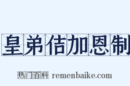 皇弟佶加恩制是什么意思的图片